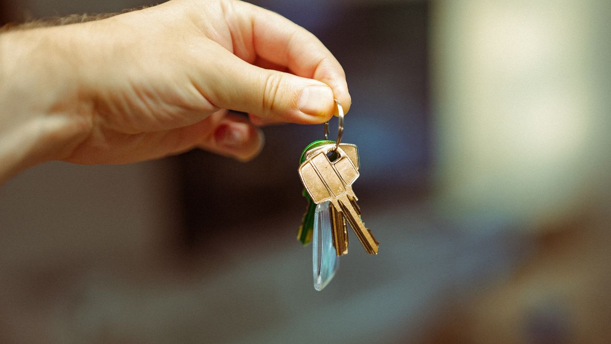 Jeune adulte consultant des annonces de location devant un immeuble en ville