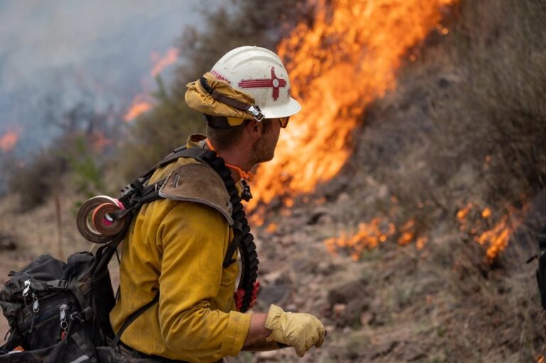 Pompiers luttant contre un feu de forêt et fumée dans le sud de la France